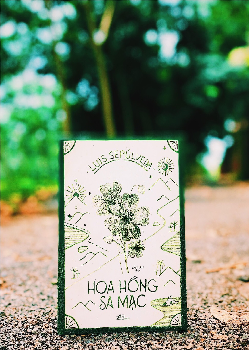 Hoa Hồng Sa Mạc