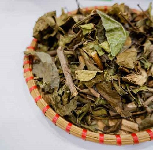 Lá Xạ Đen Khô Hòa Bình đóng gói