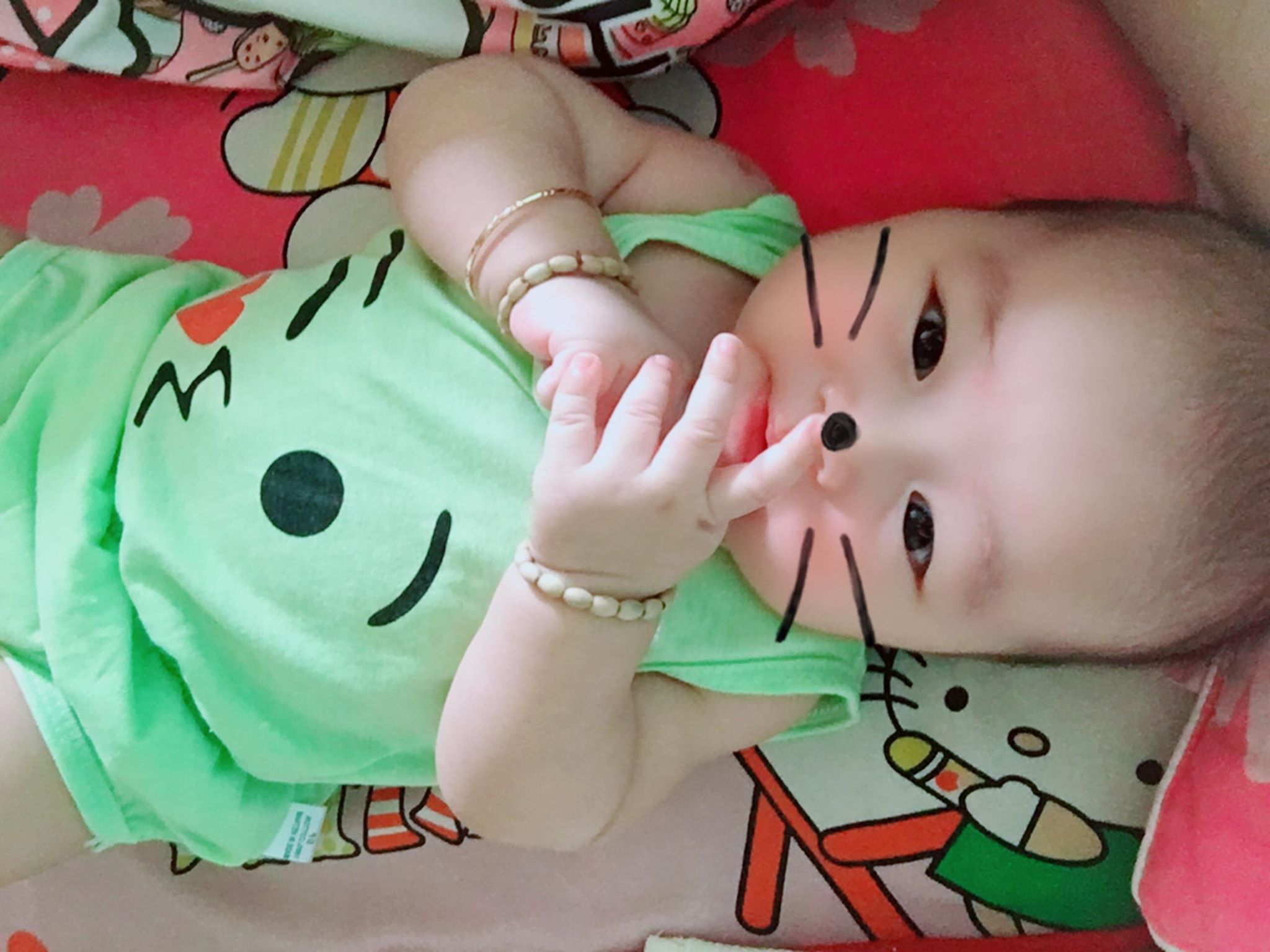 Set 5 bộ chip mèo cho bé từ 3-14kg