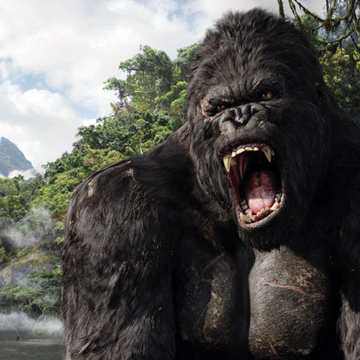 Đồ Chơi Mô Hình King Kong Skull Island
