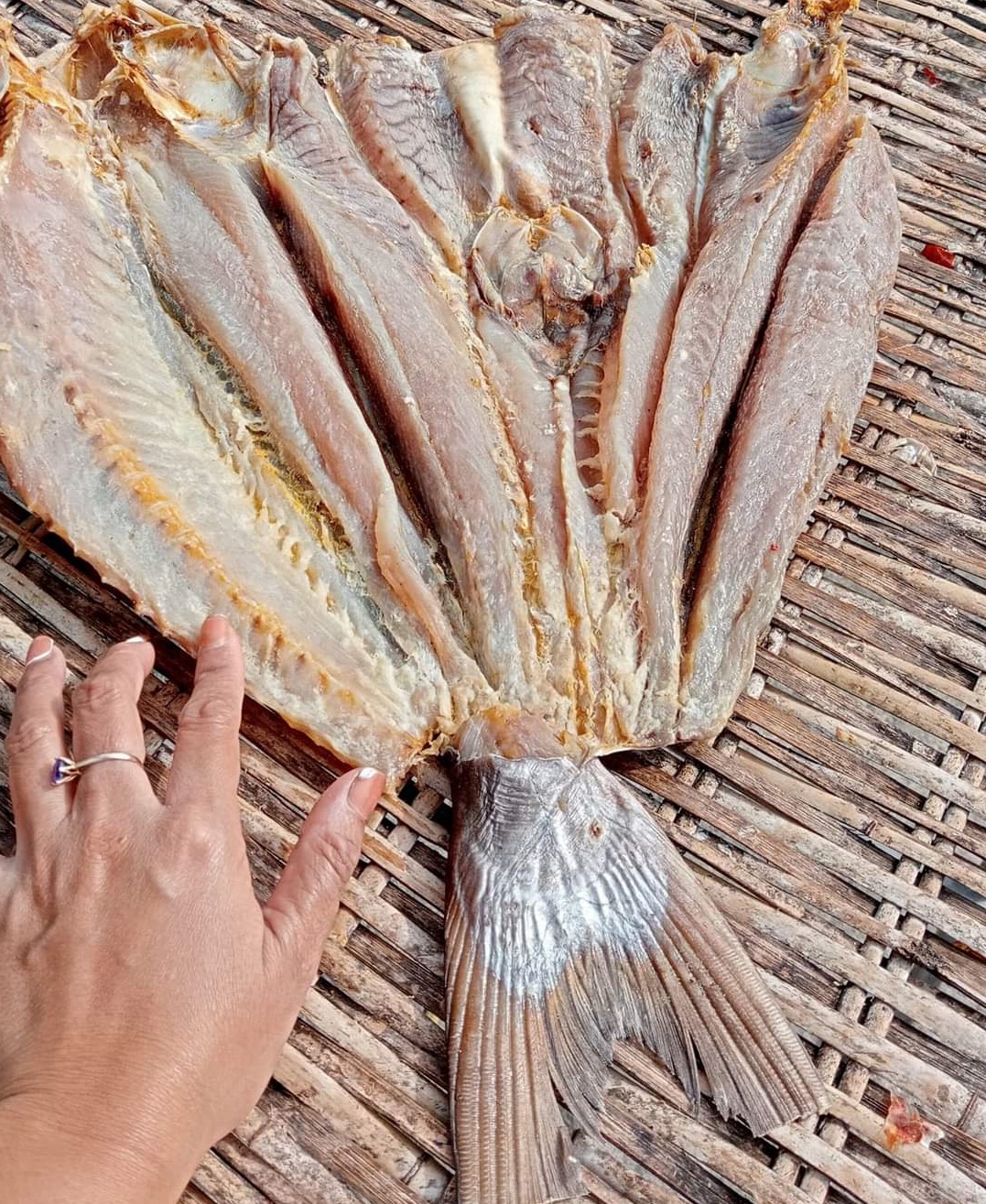 KHÔ CÁ RÚN ( KHÔ CÁ GÚNG) CHUYÊN nấu sim-lo thơm lừng đầy hấp dẫn [ GIAO HỎA TỐC HCM]
