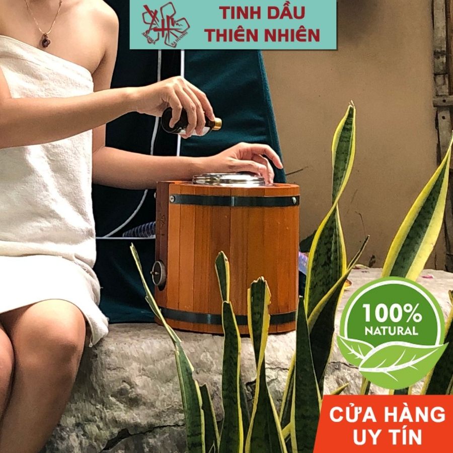 Tinh Dầu Xả Chanh Bạc Hà Tự Nhiên Lọ 10ml Ale
