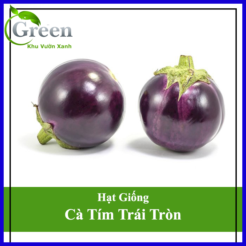 Hạt Giống Cà Tím Trái Tròn - Cà Bát Tím