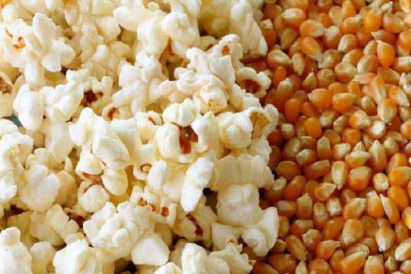 COMBO 2KG BẮP NỔ (NGÔ) MỸ DÙNG  LÀM BẮP RANG BƠ