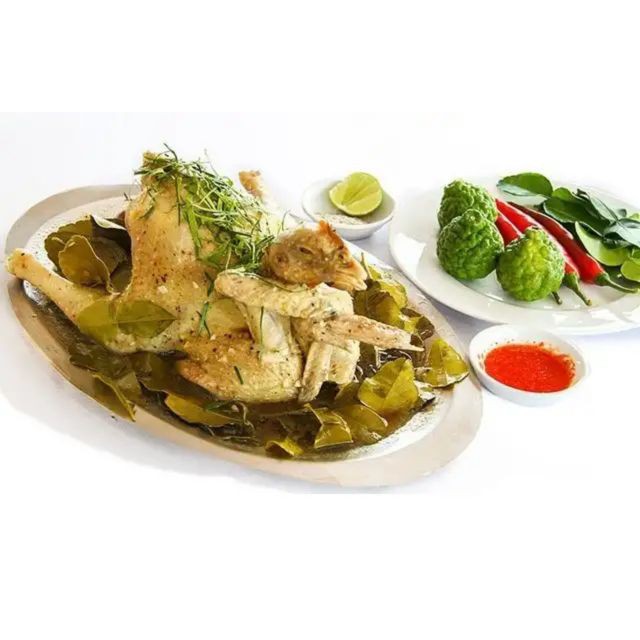 Cây Chúc ( chanh thái ) - Cây chanh ăn lá ( chanh hấp gà )  - caykiengsadec