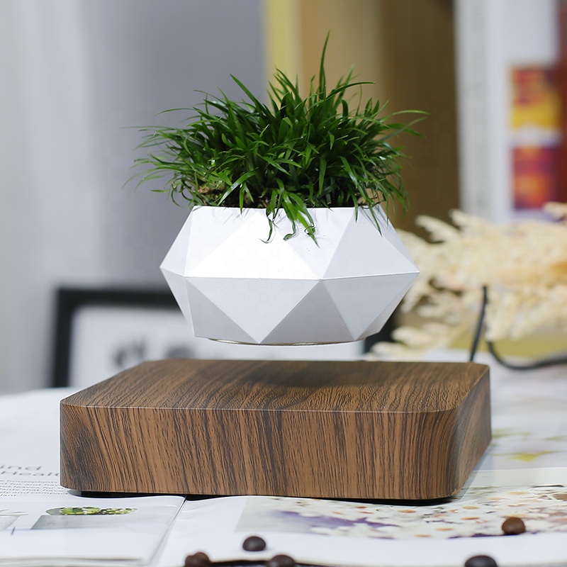 kệ trưng bày sản phẩm bonsai bay lơ lửng