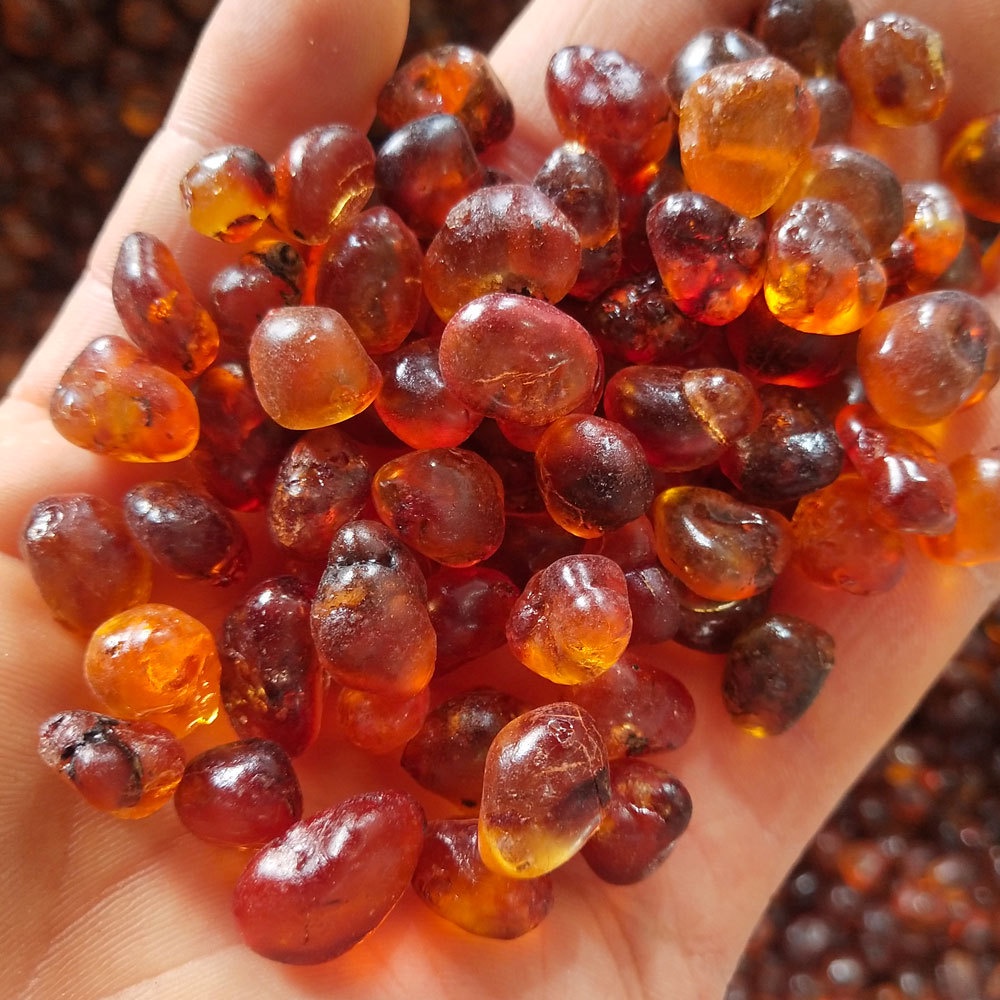 Nhựa đào khô 100g - Tấn Phát