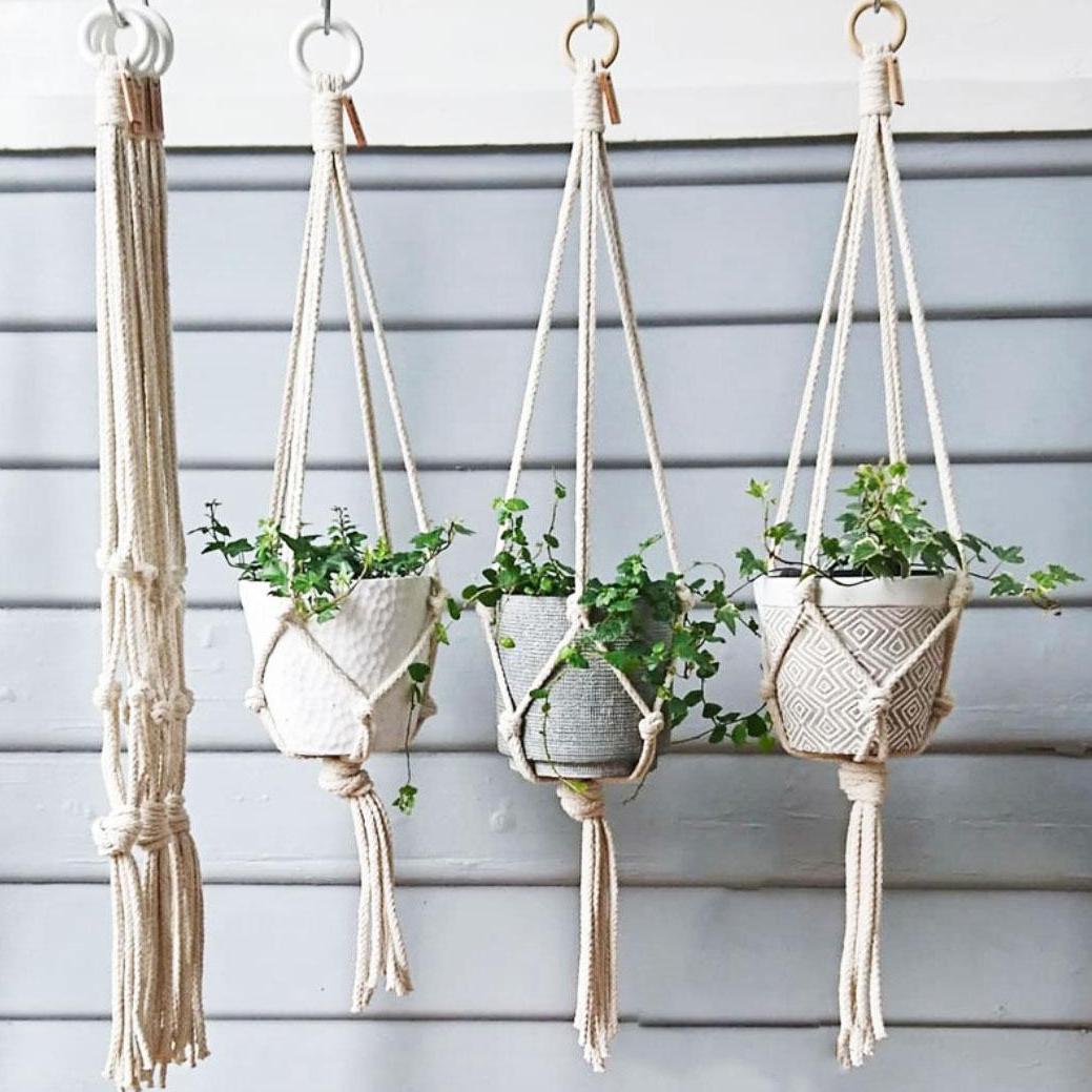 Dây treo chậu cây Arata AMPH001