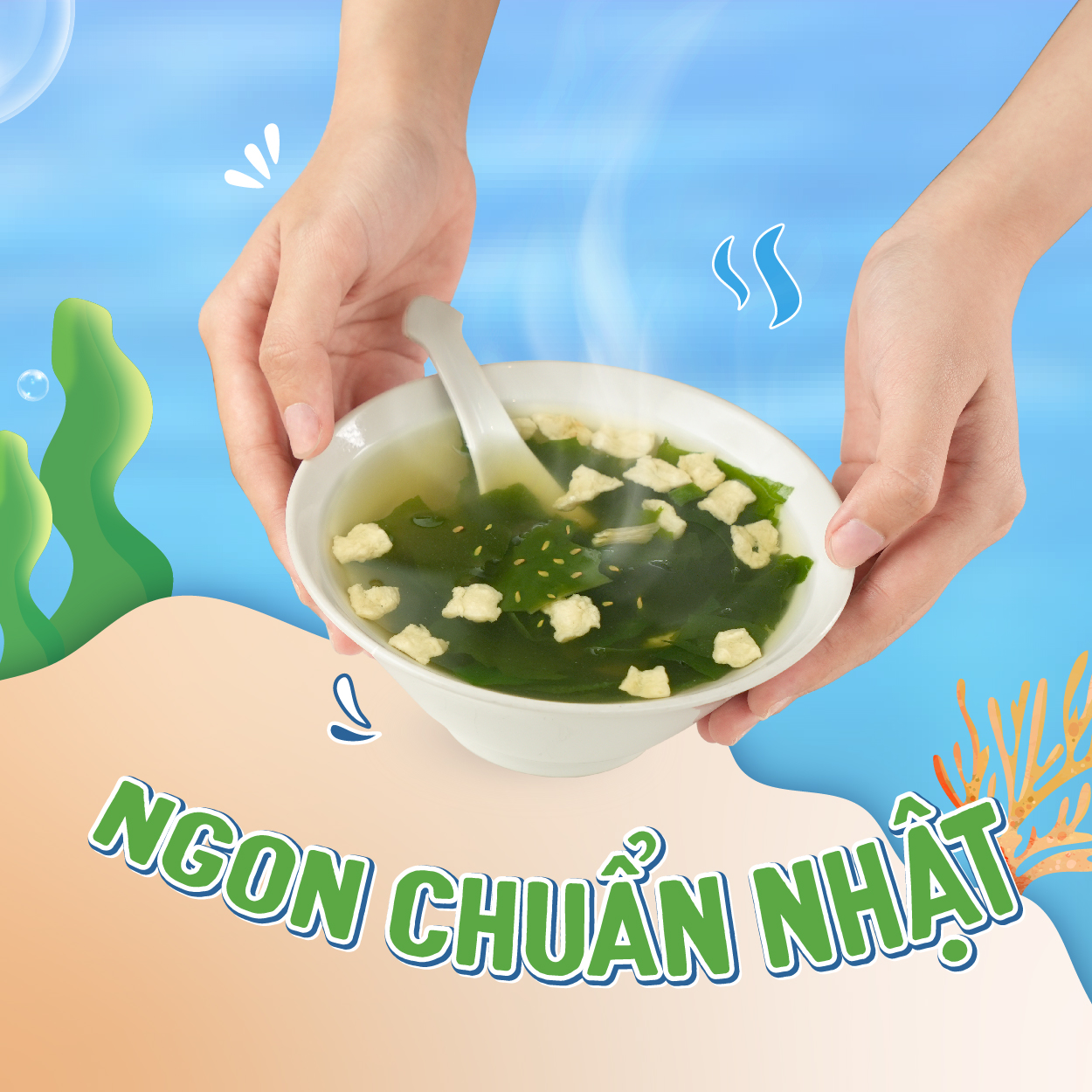 Seaweed Soup TMF 55gr/box, 10 small packs