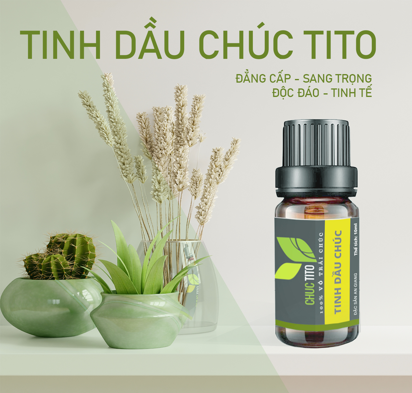 [HÀNG ĐỘC QUYỀN] Tinh dầu trái chúc TITO