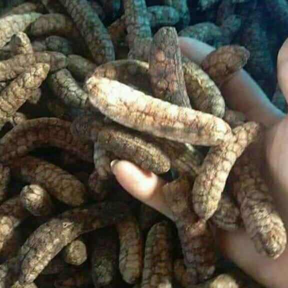cao bồ công anh kl: 200g