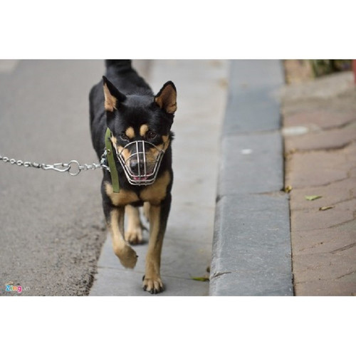 Rọ mõm chó innox