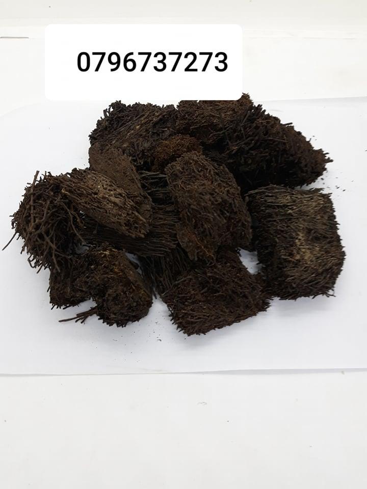 1kg Dớn vụn trồng lan