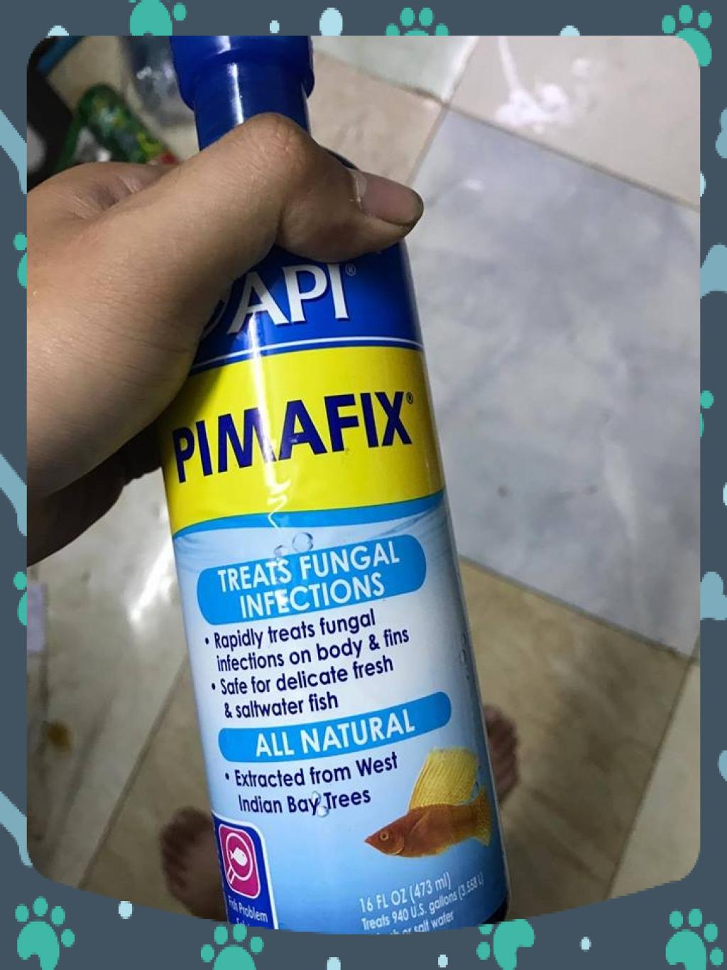 [Hoàn Tiền 10%]Dung Dịch Kháng Khuẩn Pimafix/melafix 473ml Dành Cho Cá Cảnh