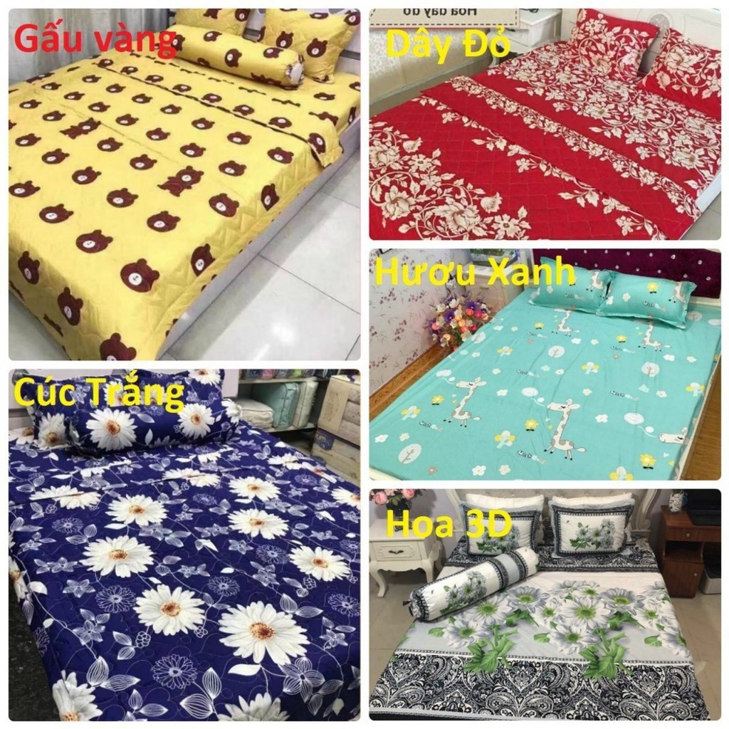 HOT Bộ ga gối cotton poly nhiều mẫu ( ib chọn mẫu)còn hàng