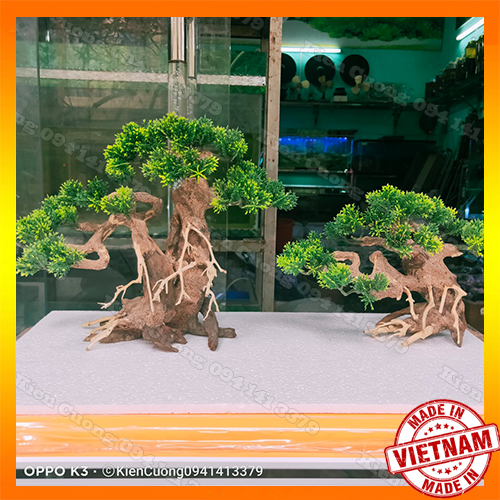 Cây gỗ lũa thủy sinh dùng cho bể cá cảnh, gỗ lúa cao cấp (Mẫu 12)