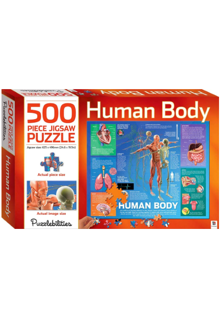 Sách - Human Body 500-piece Jigsaw Puzzle (Puzzlebilities) - Phương Nam Book