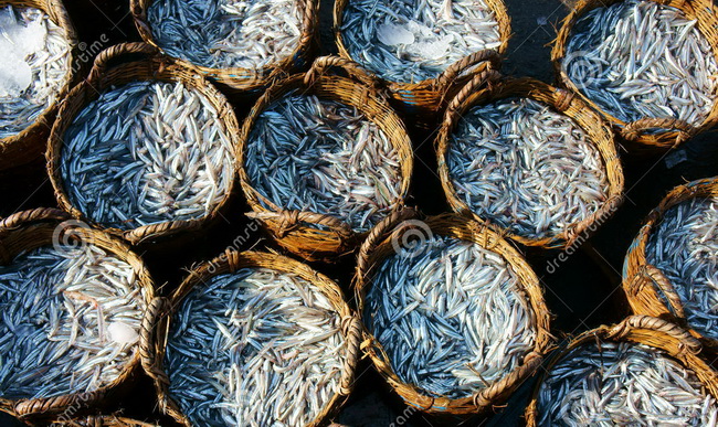 MẮM CÁI CÁ CƠM DÌ CẨN ĐẶC SẢN ĐÀ NẴNG 500gr
