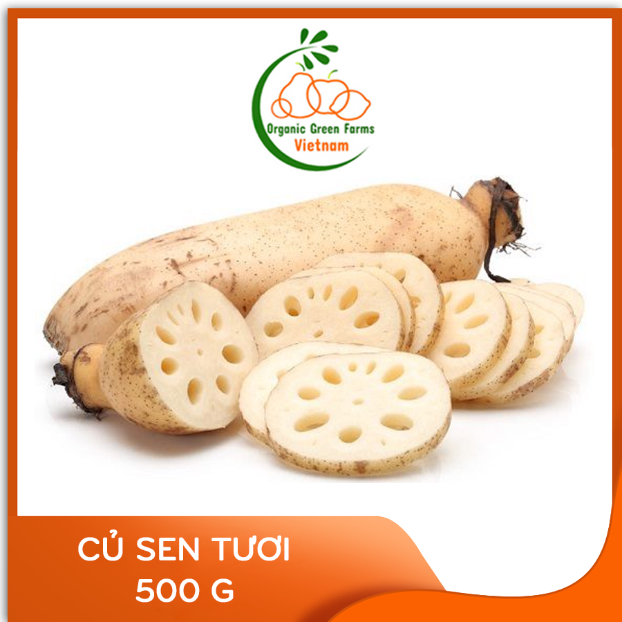 [OGF] - Củ sen tươi (500 g) - [Giao nhanh TPHCM]