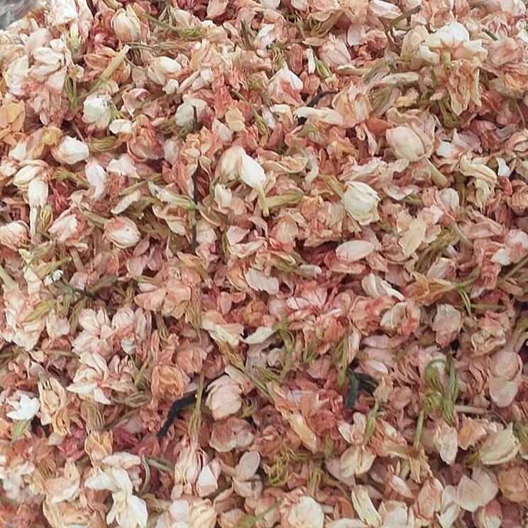 HOA TRÀ BÁT TIÊN 1KG
