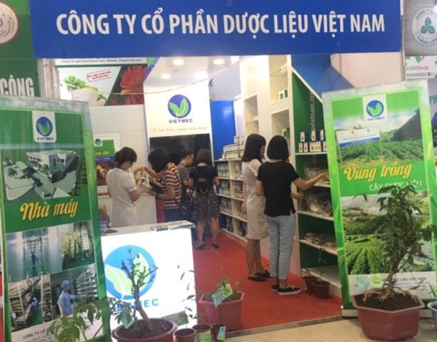 Chè vằng sẻ lá nhỏ - Giảm cân lợi sữa