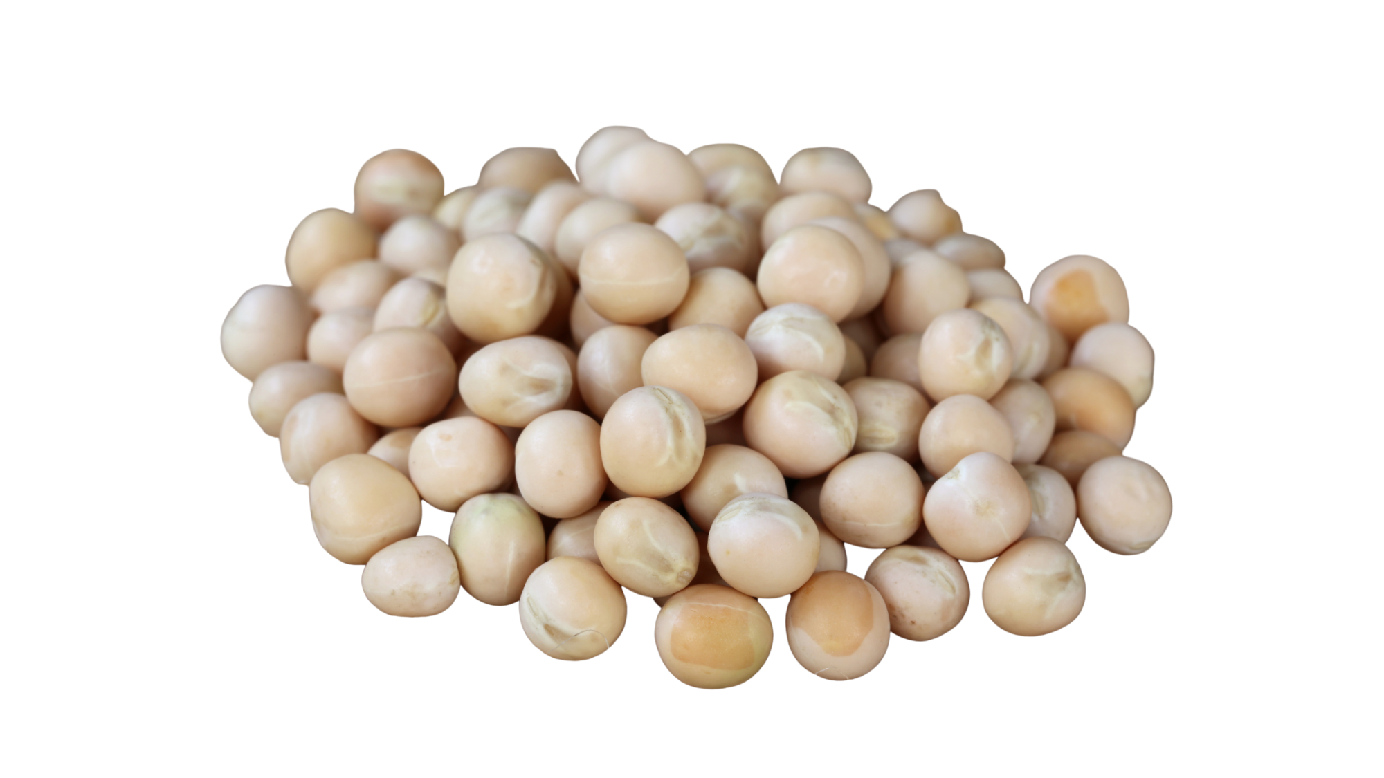 White Peas - Dry White Peas - Đậu Hà Lan Trắng khô (500g - 1Kg)
