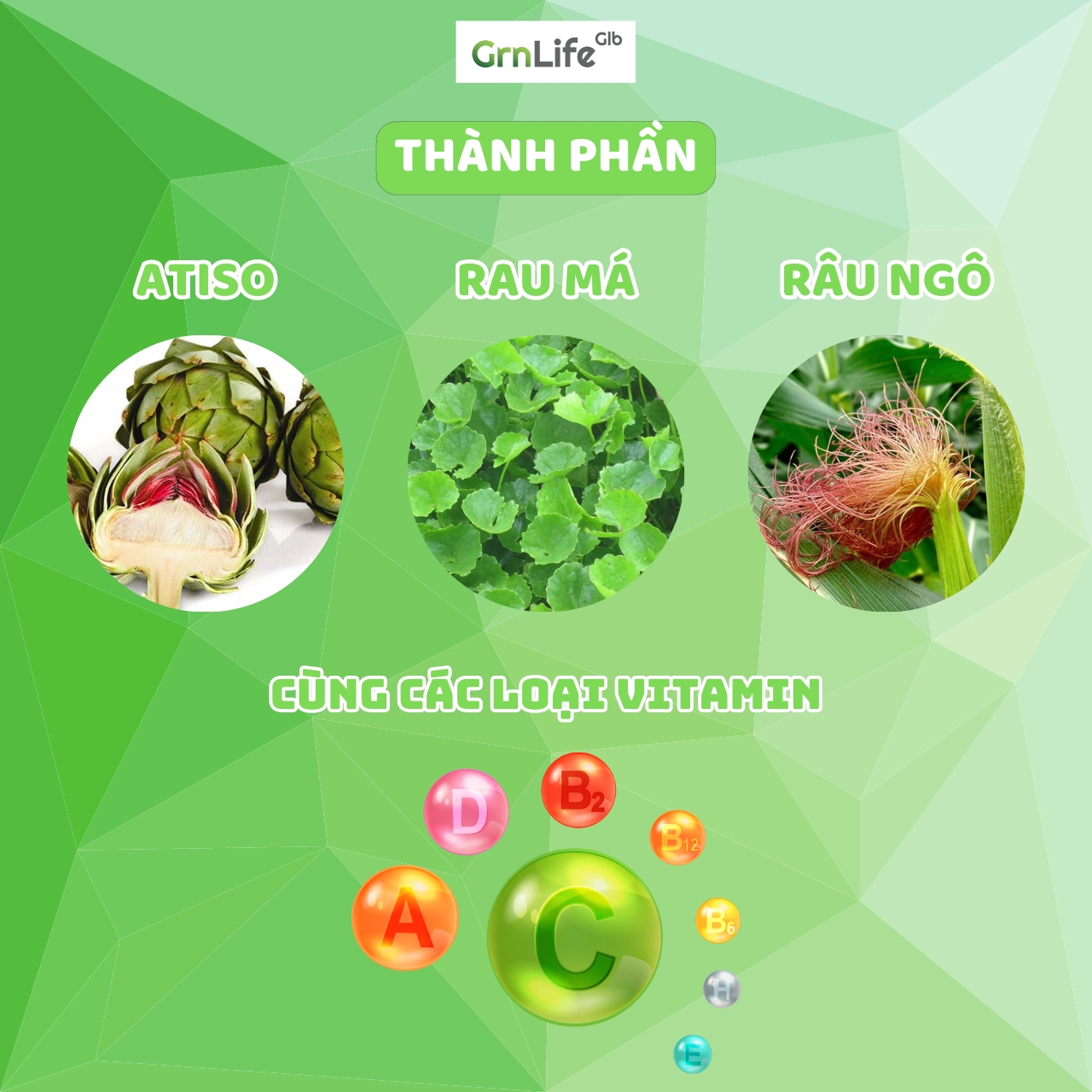 Sủi Actiso Ginin râu ngô rau má