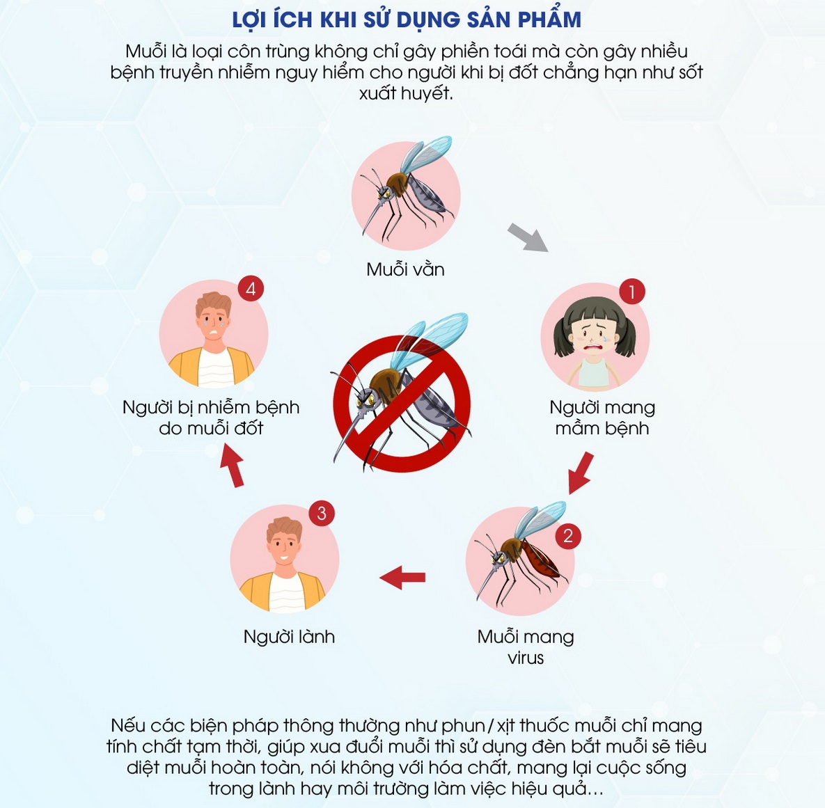 Đèn Bắt Muỗi Rạng Đông, Đèn Bắt Côn Trùng Rạng Đông