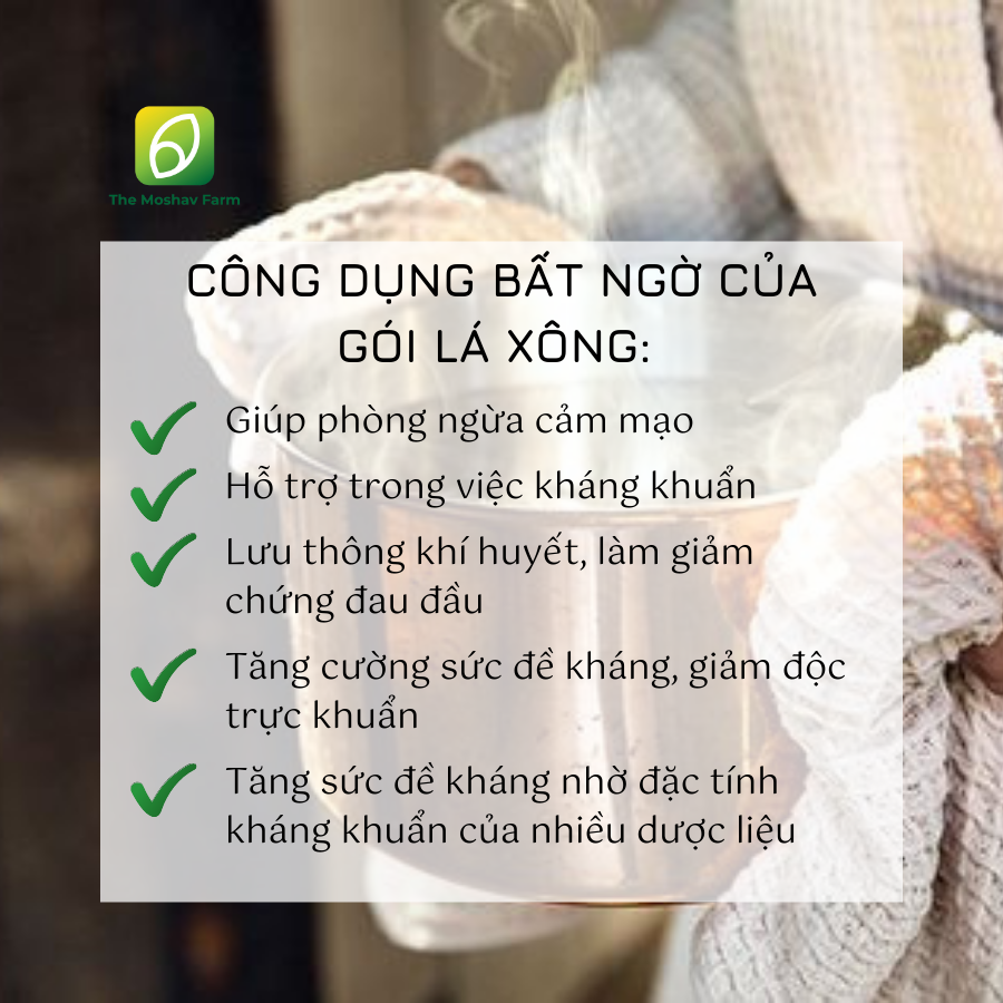 LÁ XÔNG GIẢI CẢM