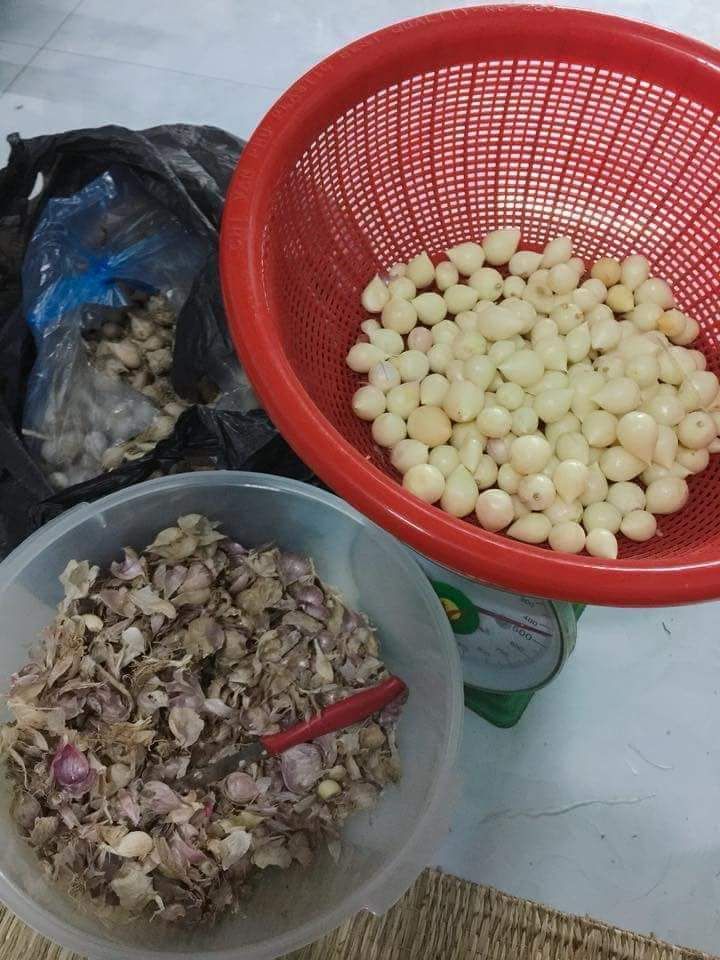 Tỏi Cô Đơn (Tỏi 1 Nhánh 1kg)