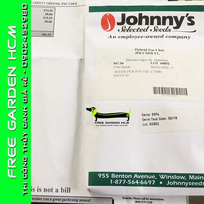COMBO 1000 HẠT GIỐNG CẢI JOI CHOI - JOHNNYSEEDS