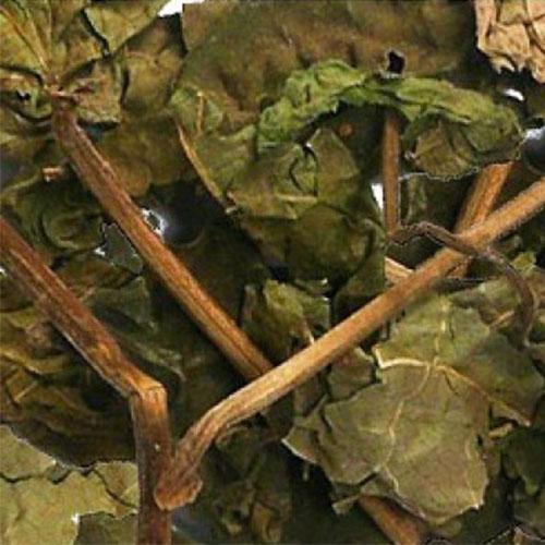 Cây bạch đồng nữ khô - 1kg