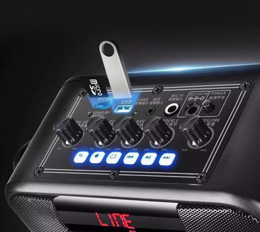 [HCM]Loa karaoke Temeisheng SL05-26