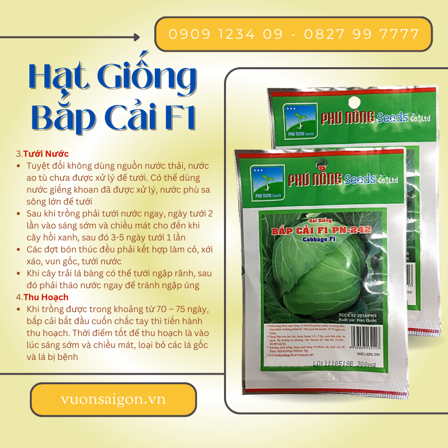 Hạt Giống Bắp Cải F1 Phú Nông (Vườn Sài Gòn - Vuon Sai Gon)