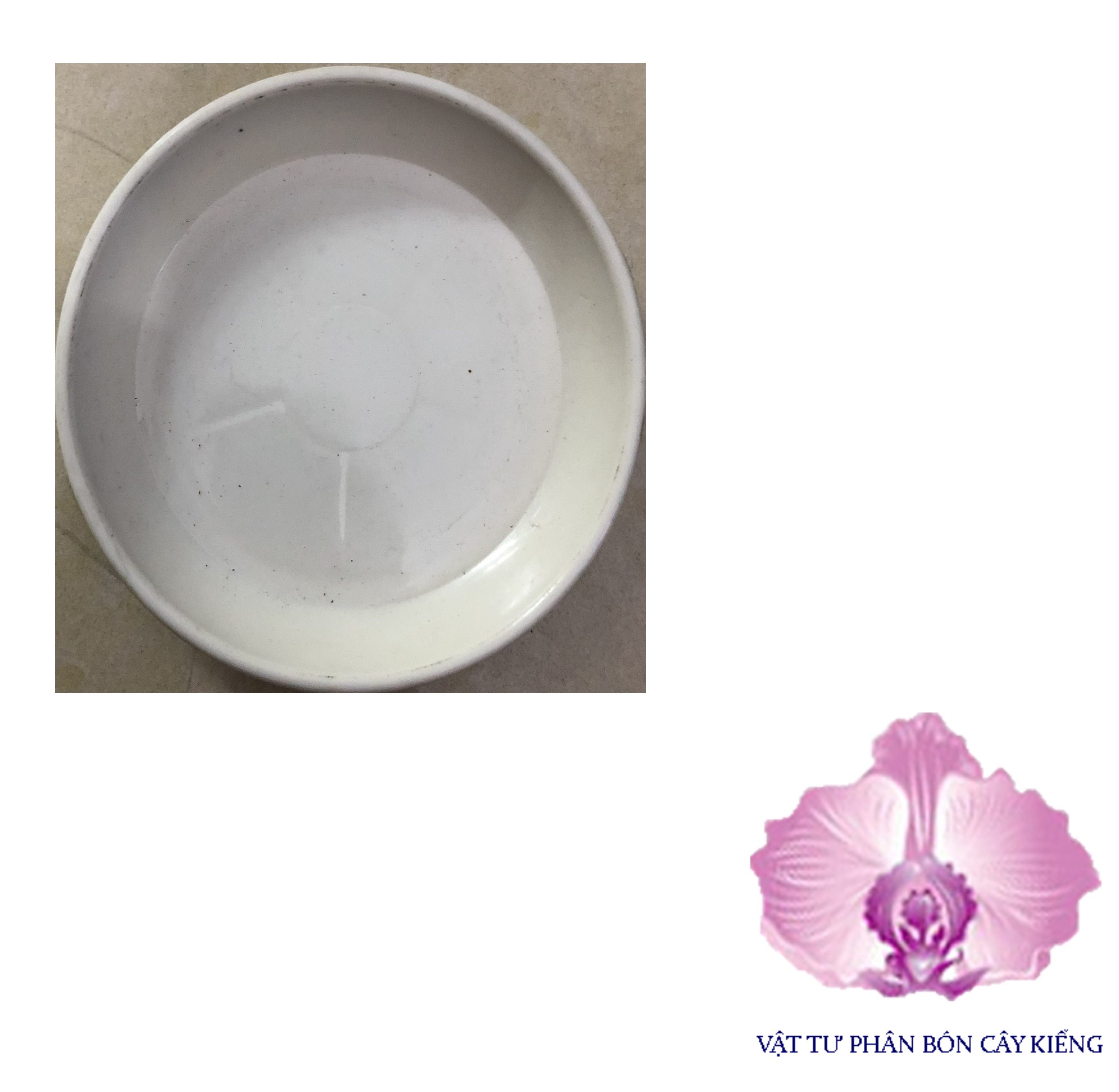 Đĩa lót chậu tròn 12cm - #039d#