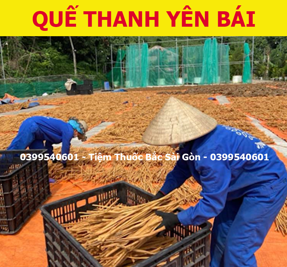Quế Thanh 500g