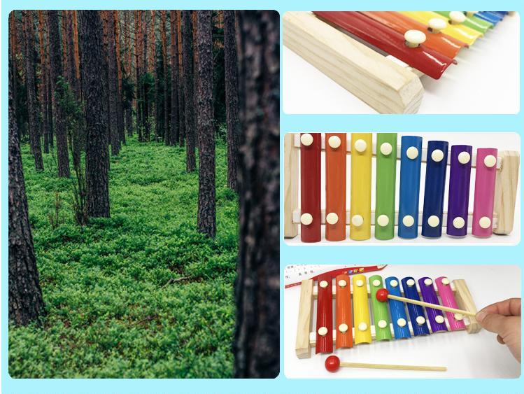 Đàn gỗ 8 quãng, đàn gỗ nhiều màu, đàn xylophone