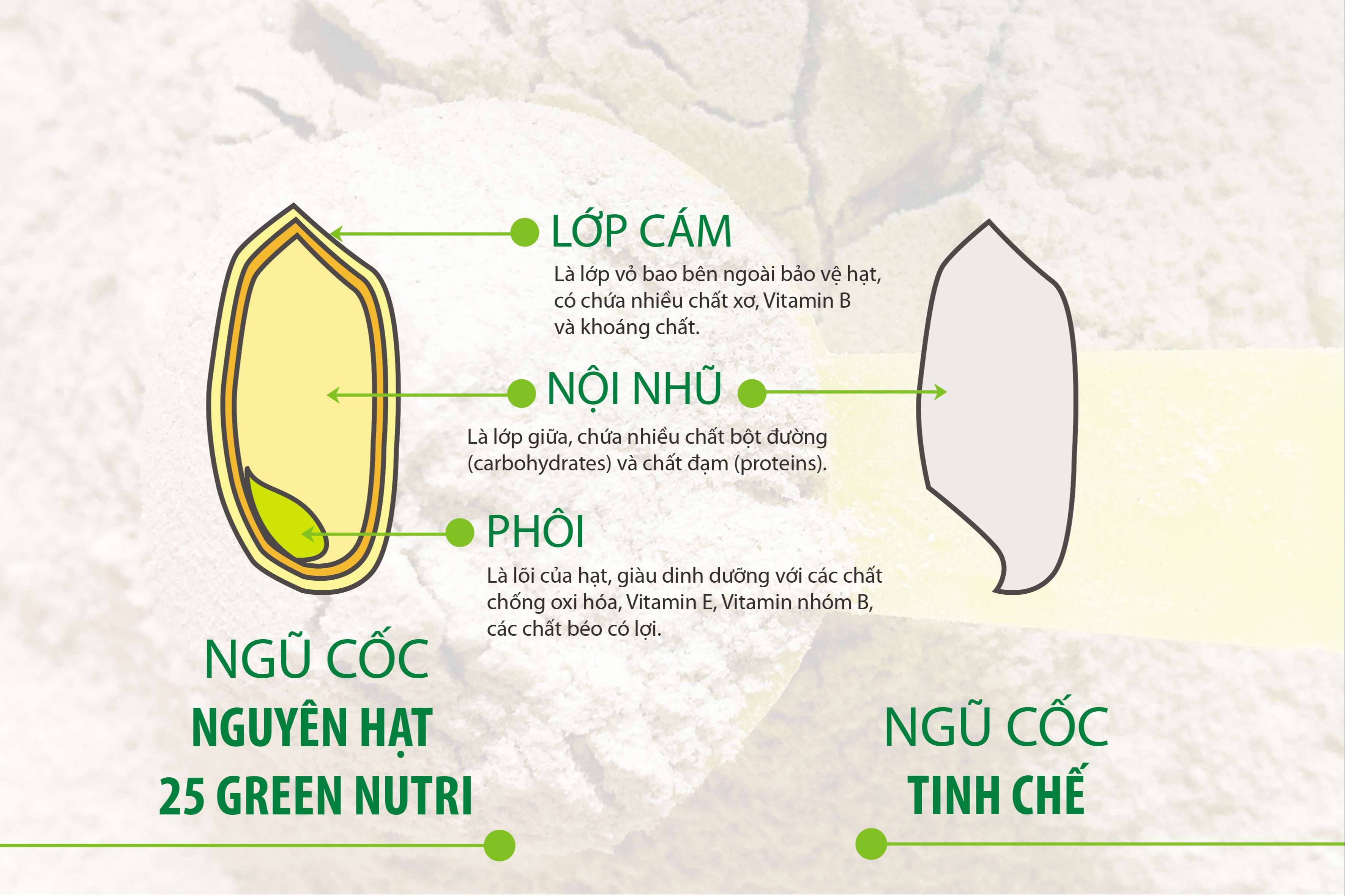Sữa Hạt Nhập Khẩu 25 Green Nutri - Dạng Lon(750gr)