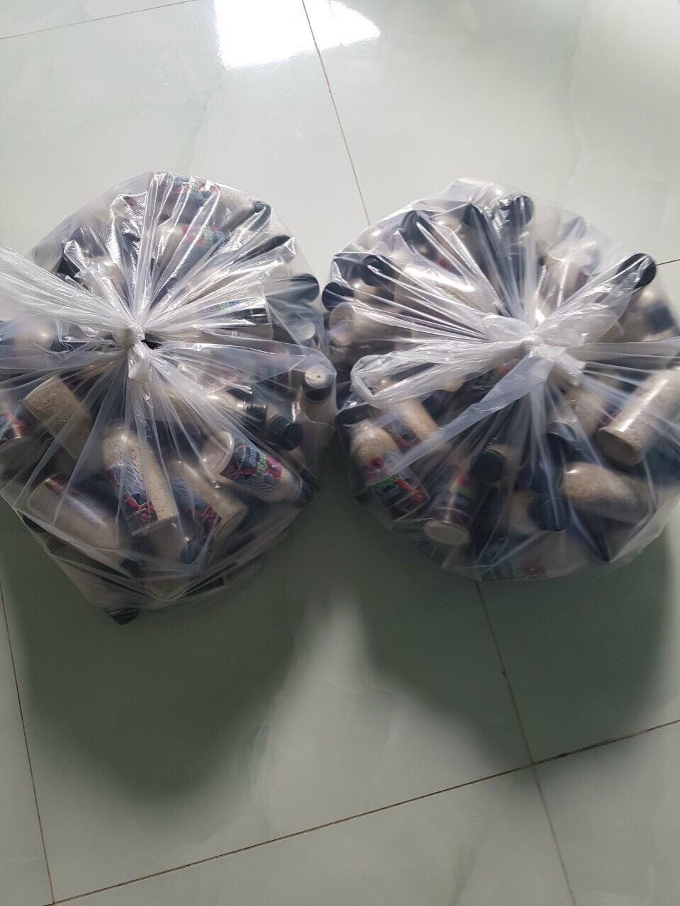 Bột tơ nhện câu cá hải ngư