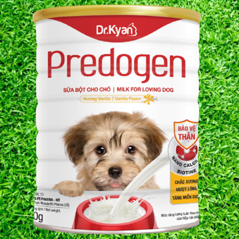 Sữa bột cho Chó Dr.Kyan Predogen Lon 400g