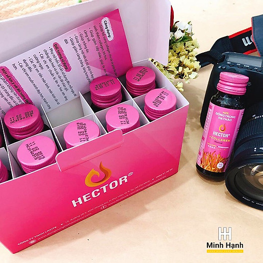 [HCM]NƯỚC UỐNG ĐÔNG TRÙNG HẠ THẢO HECTOR COLLAGEN ( COMBO 1 HỘP 10 CHAI )