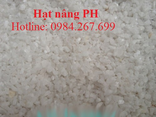 Combo Hạt nâng PH gói 5kg
