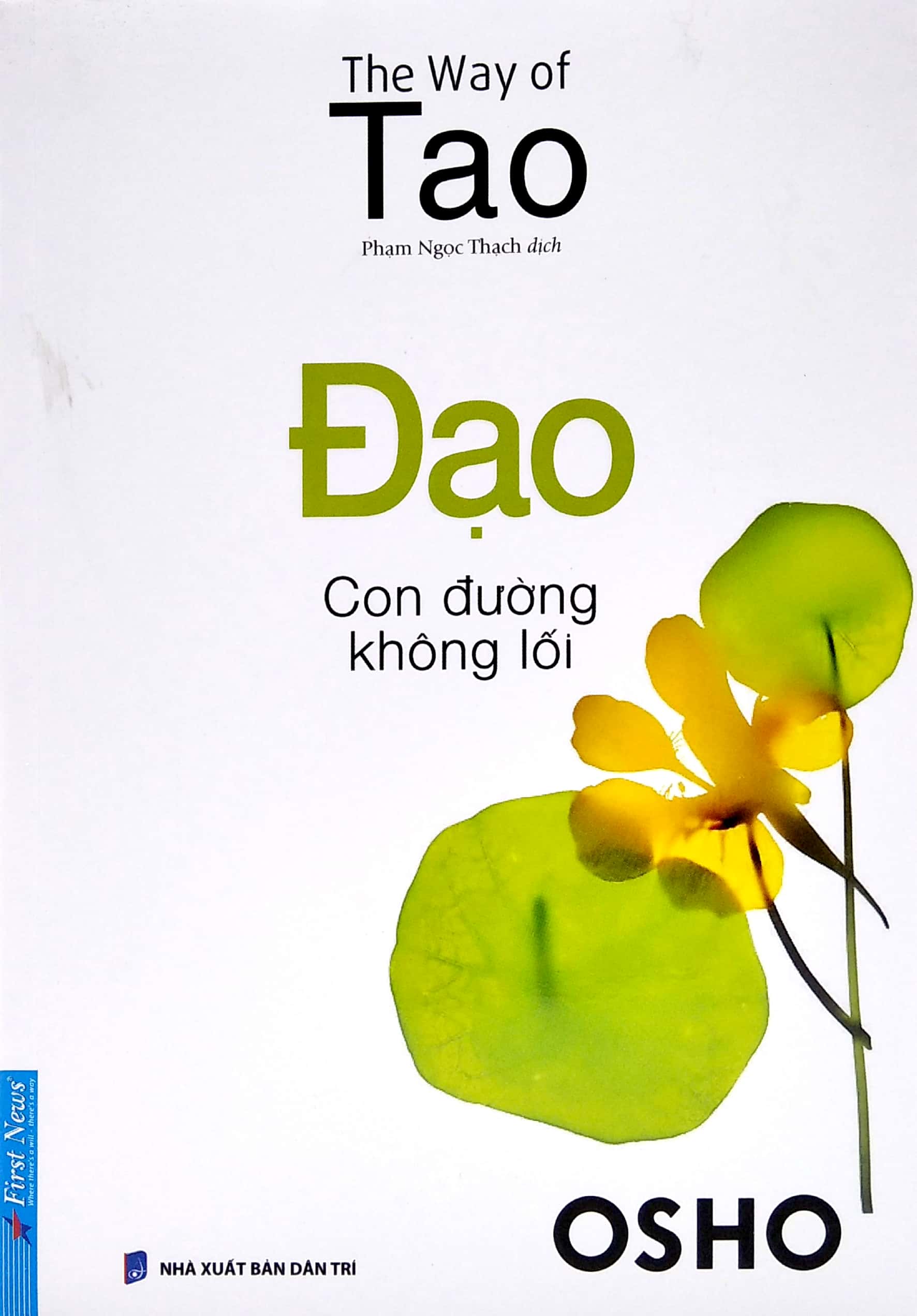 Sách - đạo - con đường không lối