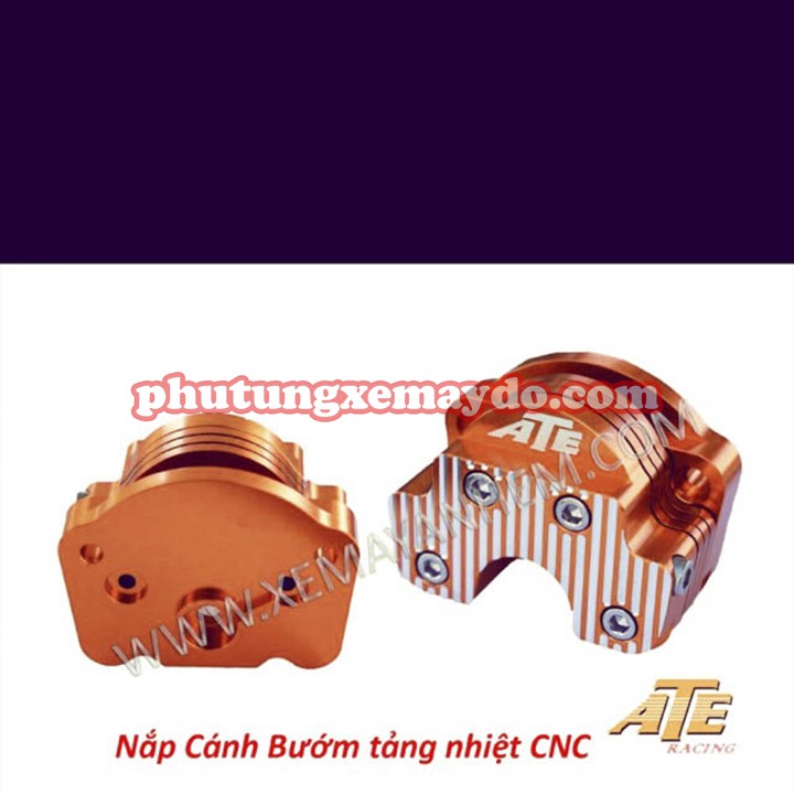 NẮP CÁNH BƯỚM TẢN NHIỆT [BAO ĐỔI TRẢ NẾU HÀNG LỔI]