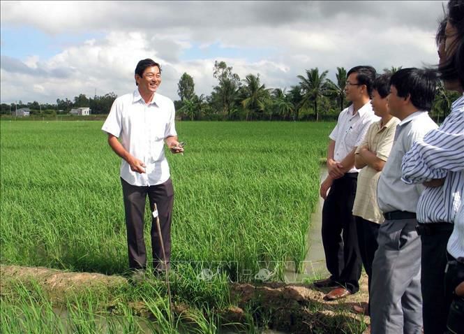 GẠO ST25 - HỒ QUANG CUA 5KG