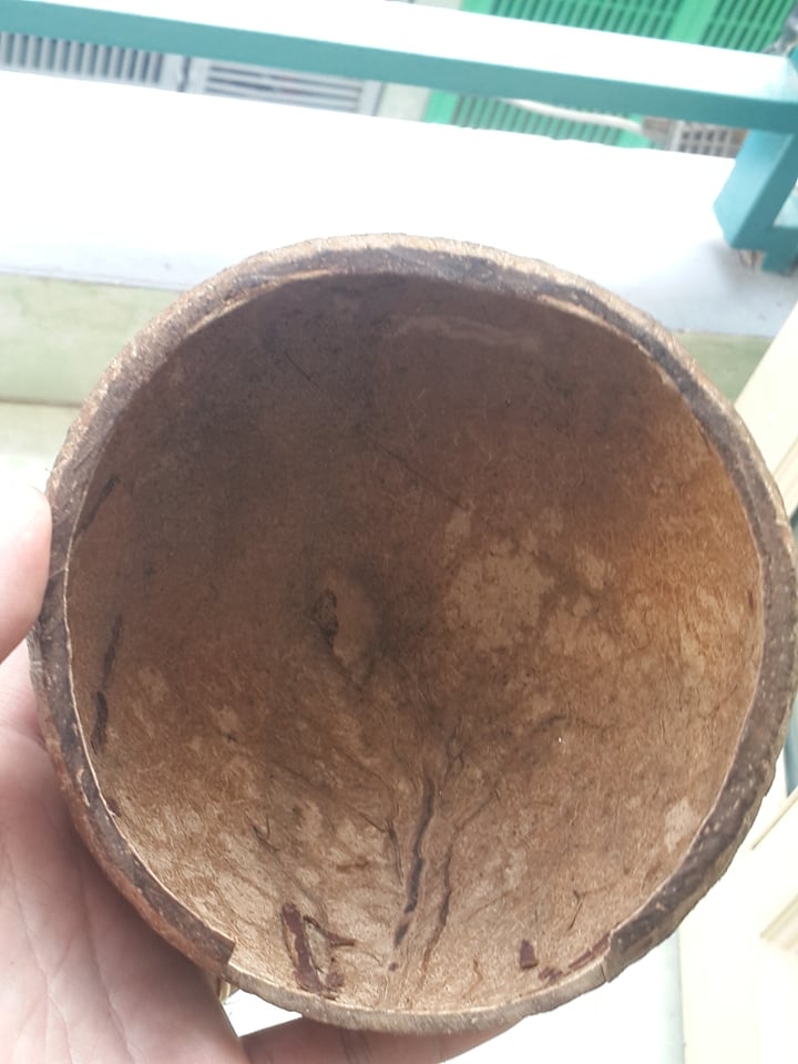 [HCM]Hang trú gáo dừa dành cho thú cưng nhỏ