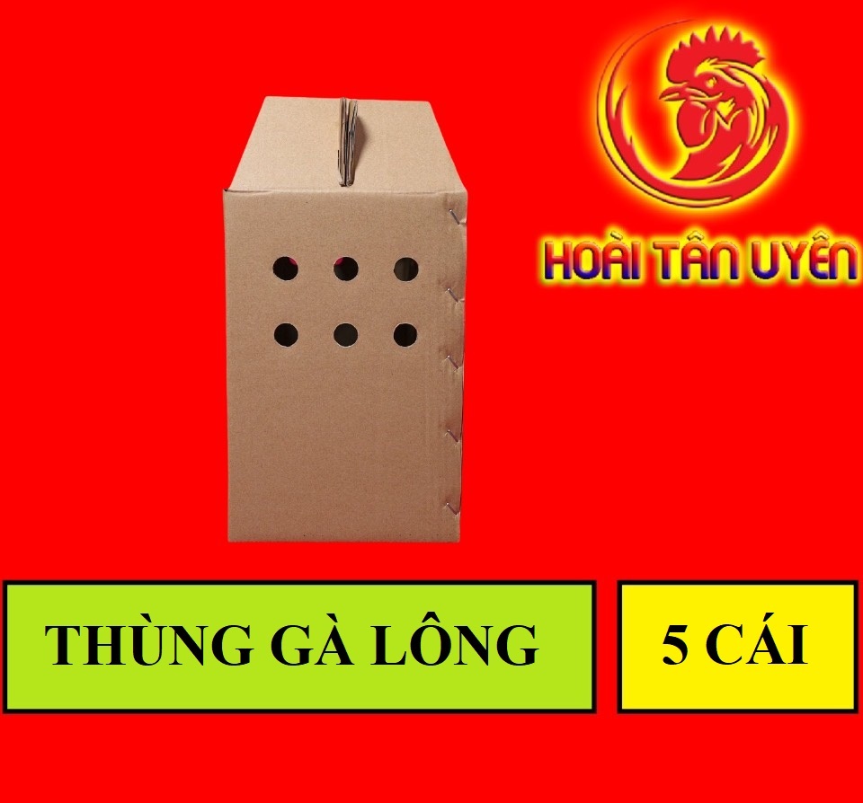 COMBO 5 THÙNG GIẤY ĐỰNG GÀ LÔNG