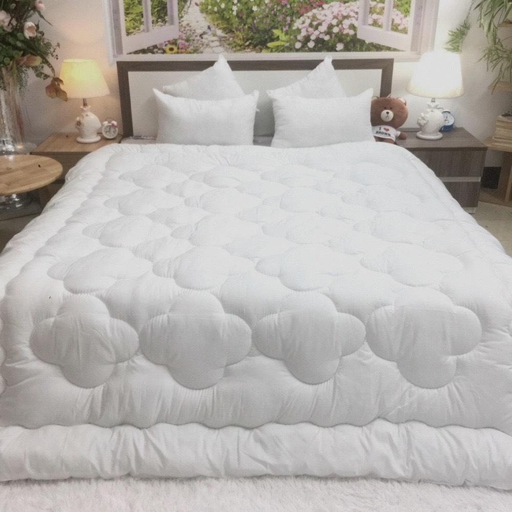 (Giá Sốc) Ruột chăn bông nặng 1m9x2m1