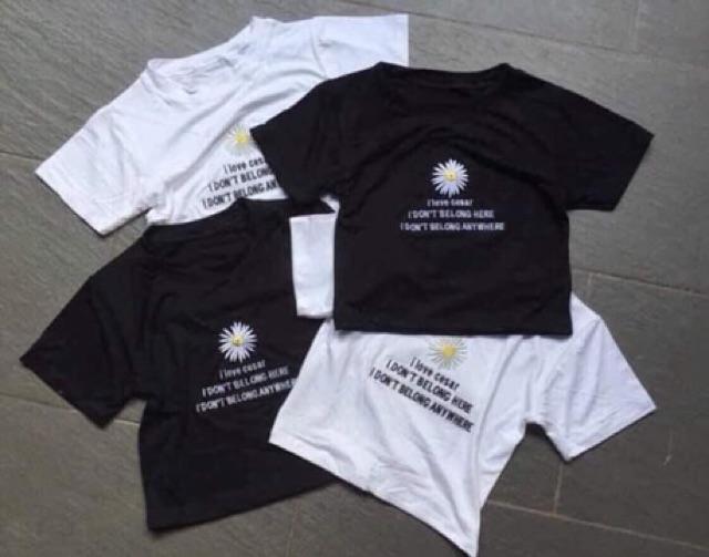 Áo croptop hoa cúc cánh trắng HSU0220