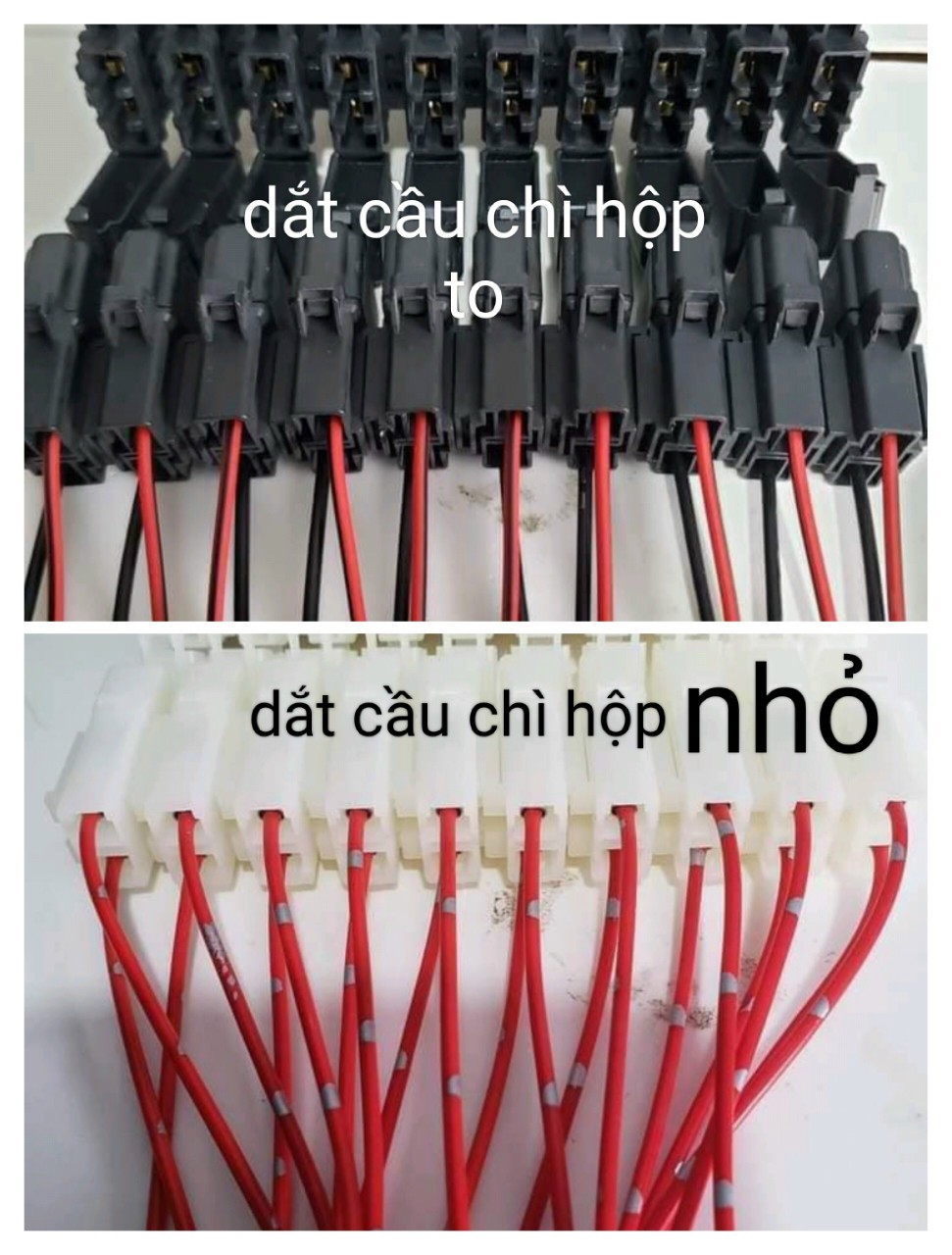 Dắt hộp đựng cầu chì to/ nhỏ